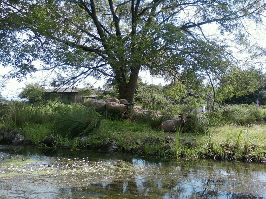 Ferienwohnung Am Buchenbaum Neuried  ภายนอก รูปภาพ